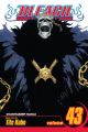 Bleach Vol. 43 (Manga)