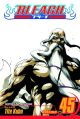 Bleach Vol. 45 (Manga)
