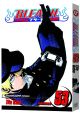 Bleach Vol. 53 (Manga)