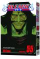 Bleach Vol. 55 (Manga)