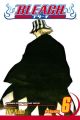 Bleach Vol.  6 (Manga)