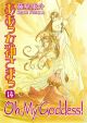 Oh! My Goddess! Vol. 14 (2nd Edition) (Manga)