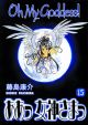 Oh! My Goddess! Vol. 15 (2nd Edition) (Manga)