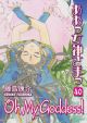 Oh! My Goddess! Vol. 40 (Manga)