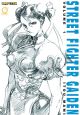 Street Fighter Gaiden Vol.  1 (Manga)
