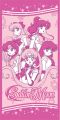 Towel: Sailor Moon - Group