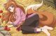 Pillow: Spice and Wolf - Holo