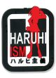 Magnet: Haruhi - Haruhism