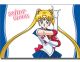Pillow Case: Sailor Moon - Sailor Moon Punish Pose