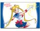 Pillow Case: Sailor Moon - Sailor Moon Tiara Shot