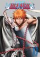 Bleach Vol. 11 (DVD)