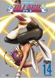 Bleach Vol. 14 (DVD)