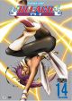 Bleach Vol. 14 (DVD) <font class=''item-notice''>[<b>Street Date</b>: 1/20/2009]</font>