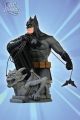 Heroes of the DC Universe: Batman Bust <font class=''item-notice''>[<b>Street Date</b>: 5/22/2009]</font>