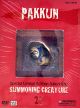 Naruto: Pakkun Limited Edition Figure