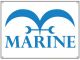 Flag: One Piece - Marine Symbol