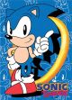 Sonic The Hedgehog: Sonic and Gold Ring Wall Scroll