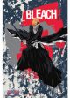 Bleach: Ichigo with Hollow Mask Wall Scroll