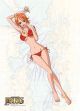 One Piece: Nami in a Bikini Wall Scroll