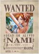 One Piece: Nami Wanted Wall Scroll