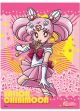 Sailor Moon S: Sailor Chibimoon Wall Scroll