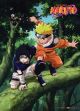 Naruto: Naruto and Sasuke Forest Wall Scroll