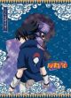 Naruto: Sasuke and Itach Dark Past Wall Scroll
