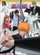 Bleach: Team Wall Scroll