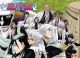 Bleach: Gotei 13 Captains Wall Scroll [LONG]