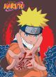 Naruto: Naruto Hand Symbol Wall Scroll