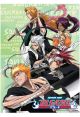 Bleach: Soul Reaper Wall Scroll