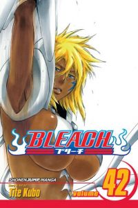 Bleach Vol. 42 (Manga)