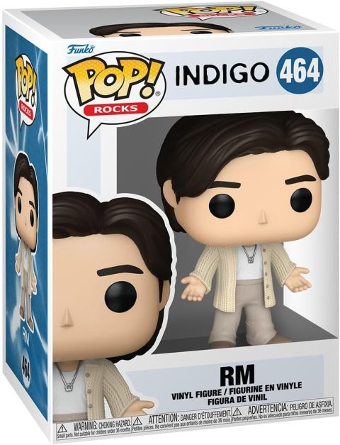 Pop Rocks: BTS - RM (Wildflowers) Pop Figure