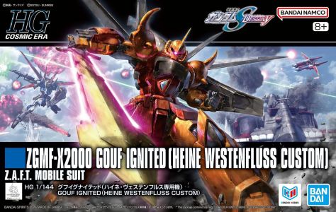 Gundam Seed Destiny: ZGMF-X2000 Gouf Ignited Heine Westenfluss Custom HG Model Kit Figure