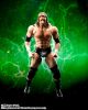 WWE: Triple H S.H.Figuarts Action Figure <font class=''item-notice''>[<b>New!</b>: 8/4/2022]</font>