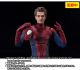 Spiderman: No Way Home - Spiderman S.H. Figuarts Action Figure (Amazing) (Andrew Garfield) <font class=''item-notice''>[<b>Street Date</b>: 3/30/2023]</font>
