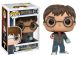 Harry Potter: Harry w/ Prophecy POP Vinyl Figure <font class=''item-notice''>[<b>New!</b>: 4/29/2024]</font>