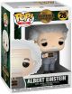 Pop Icons: Albert Einstein Pop Figure <font class=''item-notice''>[<b>Street Date</b>: 9/30/2027]</font>