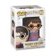 Harry Potter: Harry w/ Invisibility Cloak Pop Figure <font class=''item-notice''>[<b>Street Date</b>: 9/30/2027]</font>