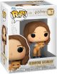 Harry Potter: Prisoner of Azkaban - Hermione Granger w/ Crookshanks Pop Figure <font class=''item-notice''>[<b>Street Date</b>: TBA]</font>