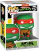 Teenage Mutant Ninja Turtles: Raphael (TV) Pop Figure <font class=''item-notice''>[<b>New!</b>: 3/4/2025]</font>