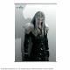 Wall Scroll: Final Fantasy Advent Children - Sephiroth <font class=''item-notice''>[<b>New!</b>: 4/18/2024]</font>